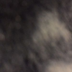 Meet your Posher, Flor